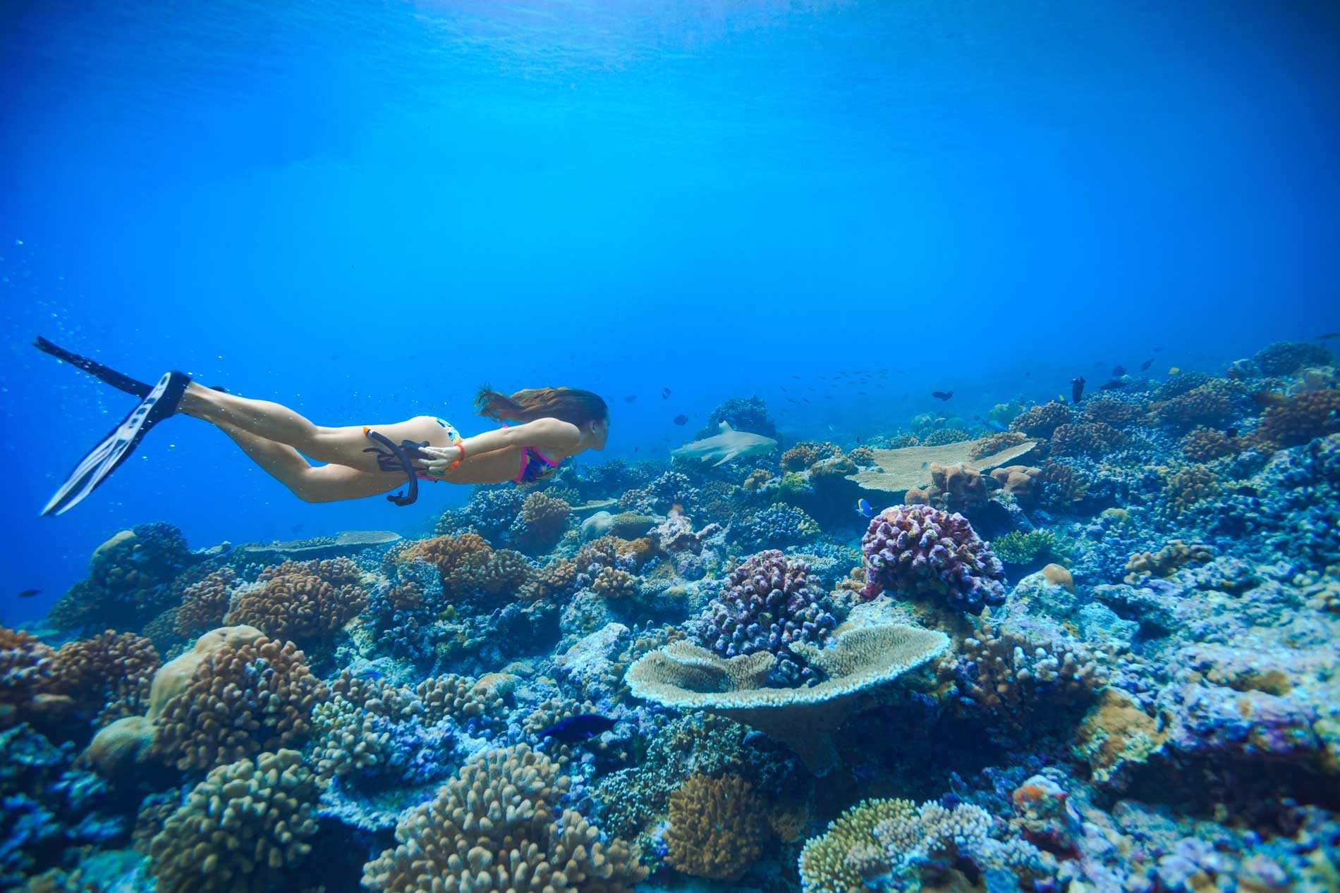 7 Once-In-A-Lifetime Experiences in Australia