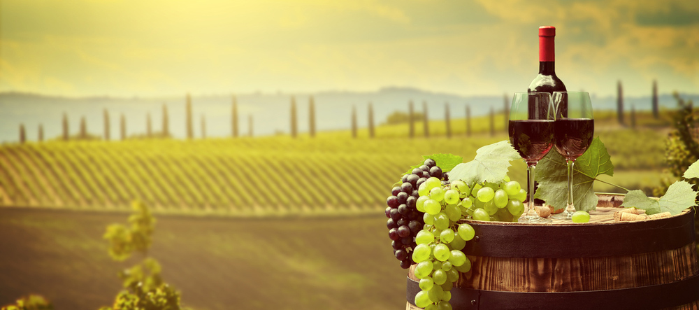 Appreciating the Fine Wine of the Tuscan Hills