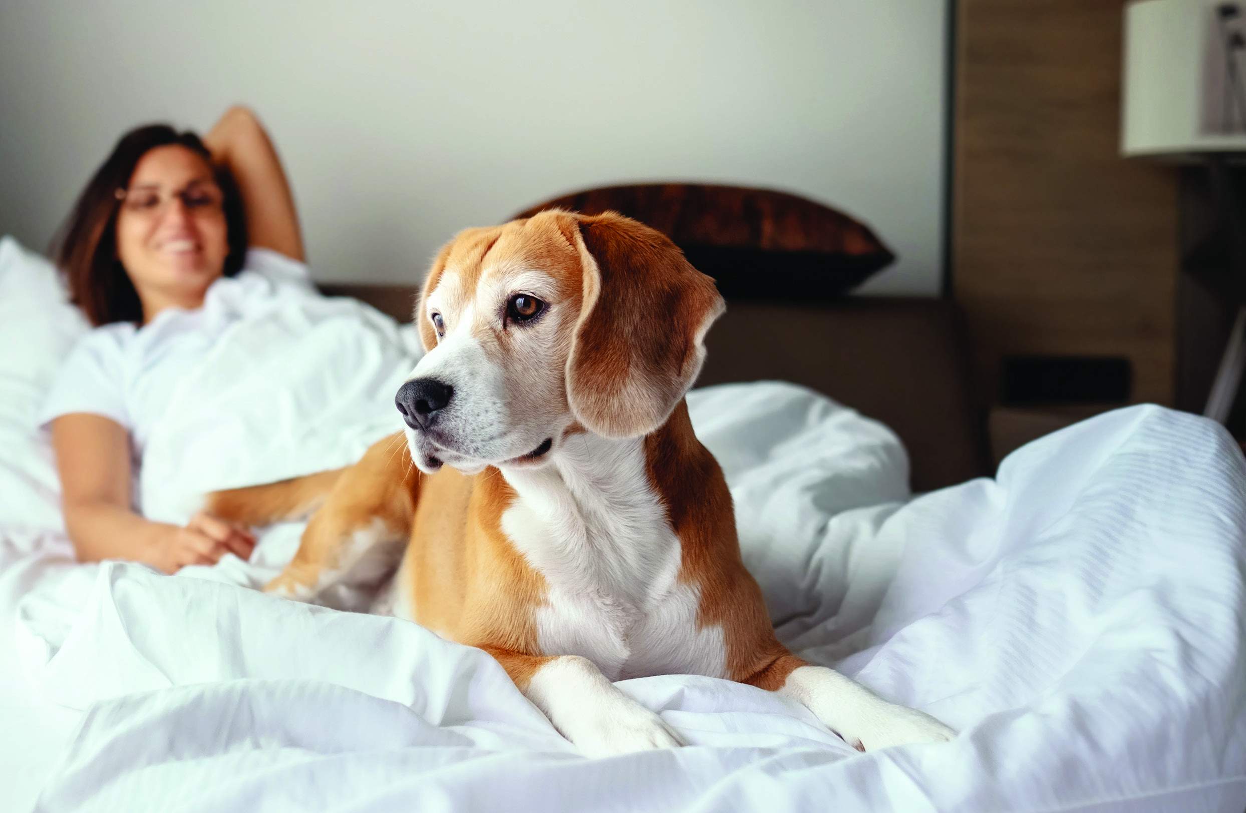 10 Best Pet-Friendly Hotels in North America