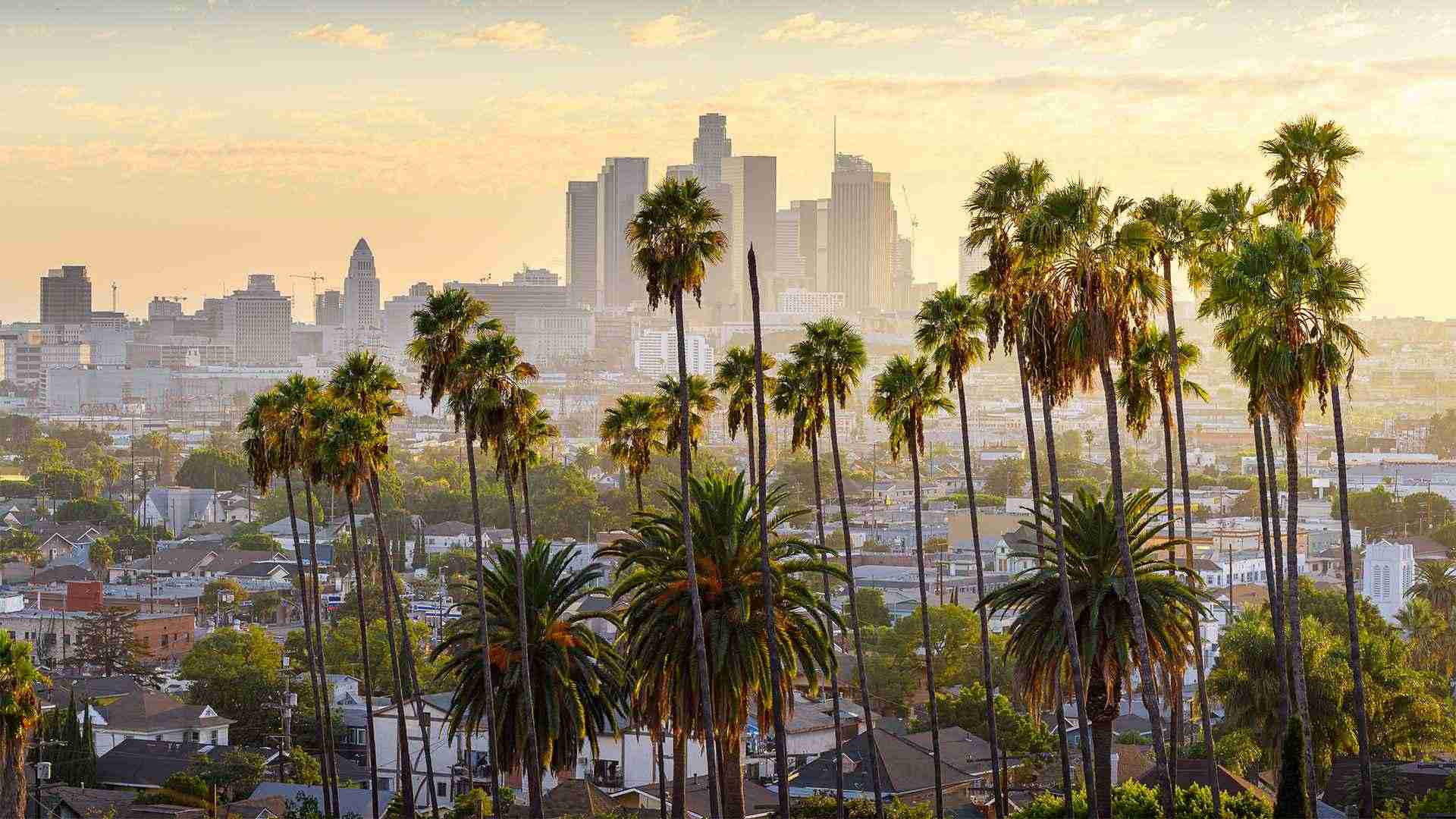 A Perfect Day in LA
